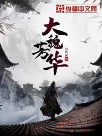 大魏芳华封面